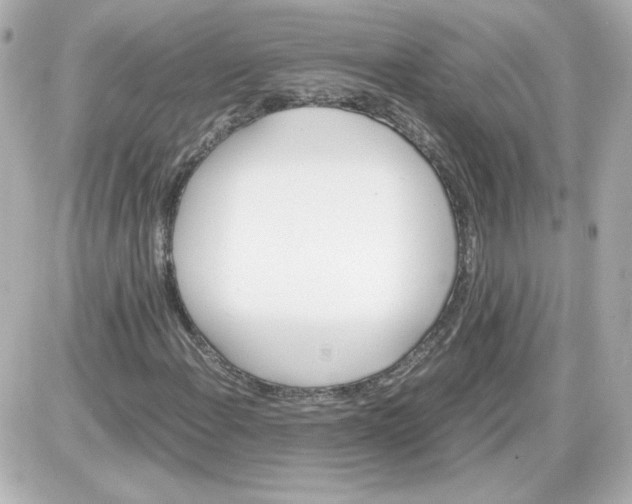 X0000087521108200705111959