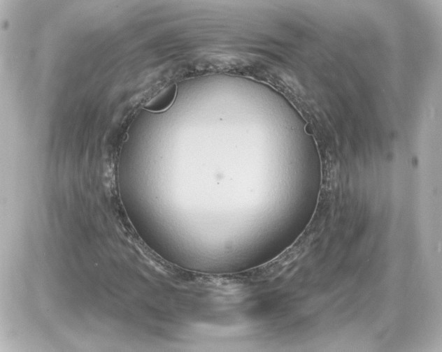 X0000087521109200705111959