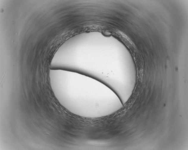 X0000087521111200705111959