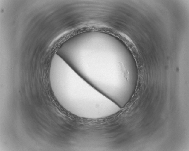 X0000087521112200705111959