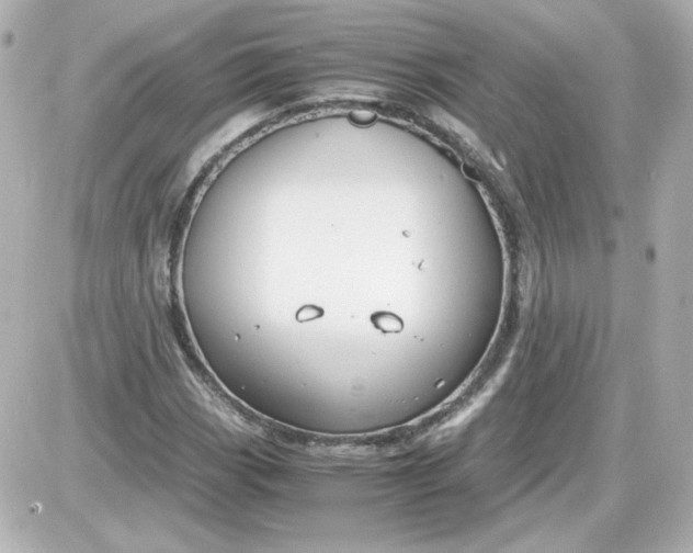 X0000087521113200705111959