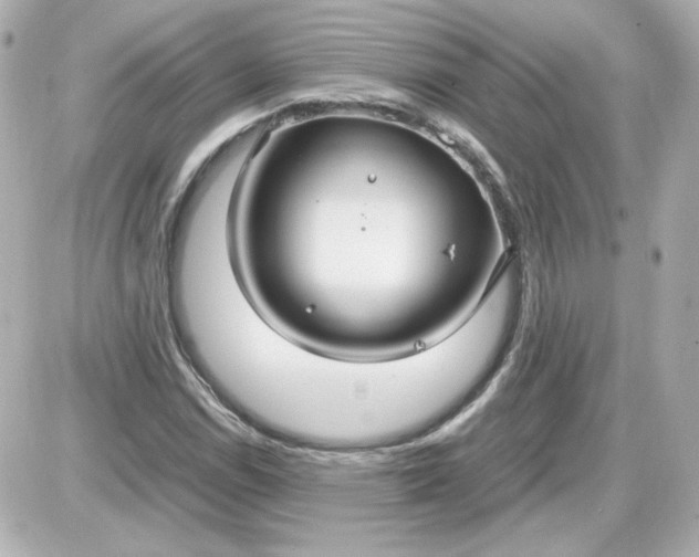 X0000087521114200705111959