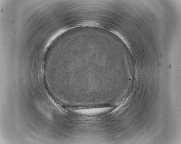 X0000087521115200705111959