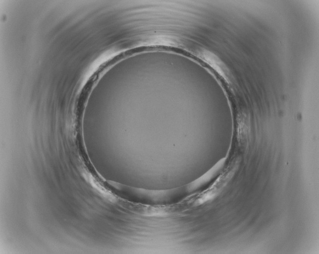 X0000087521116200705111959