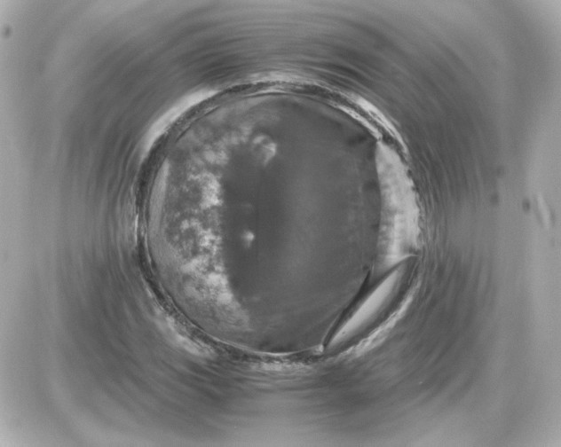 X0000087521117200705111959