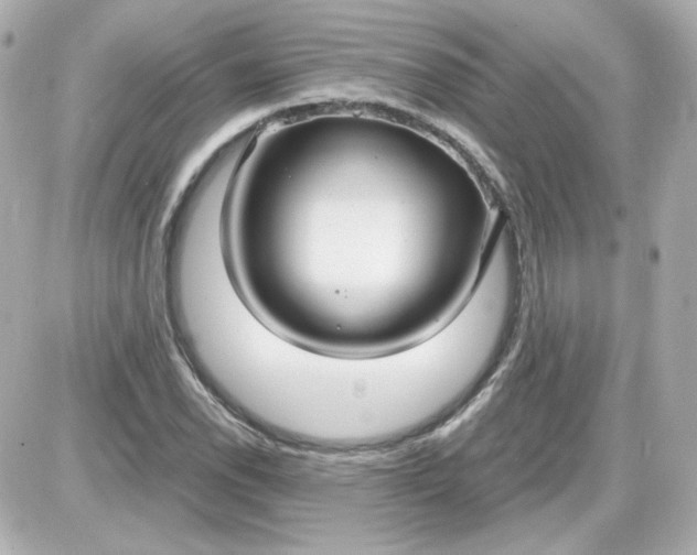 X0000087521118200705111959