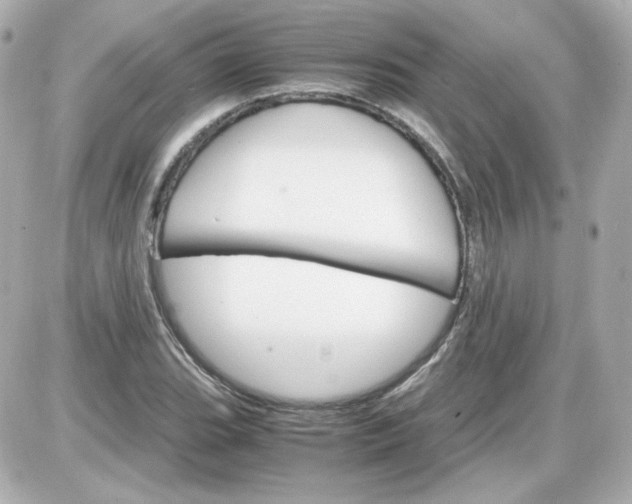 X0000087521119200705111959