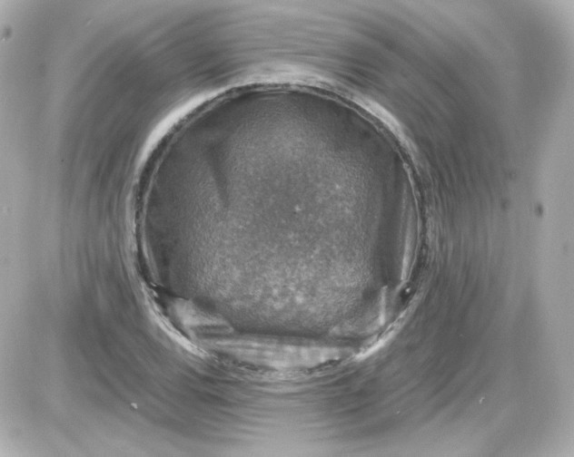 X0000087521120200705111959