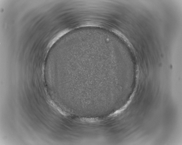 X0000087521121200705111959