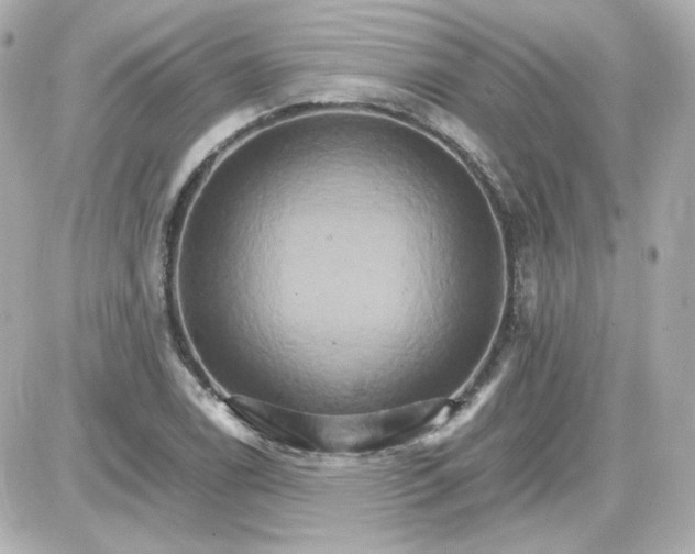 X0000087521122200705111959