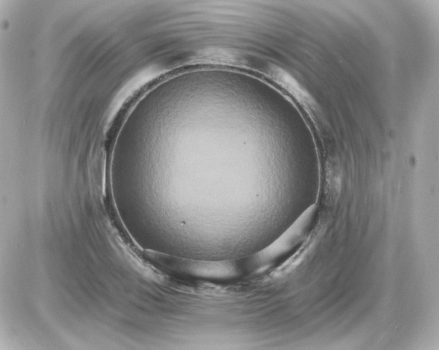 X0000087521123200705111959