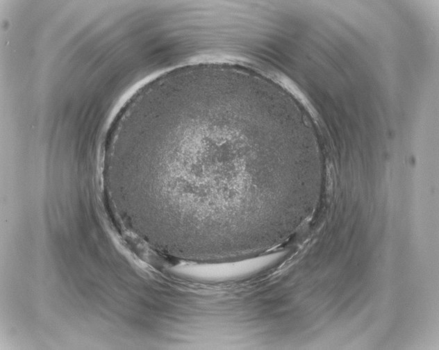 X0000087521124200705111959