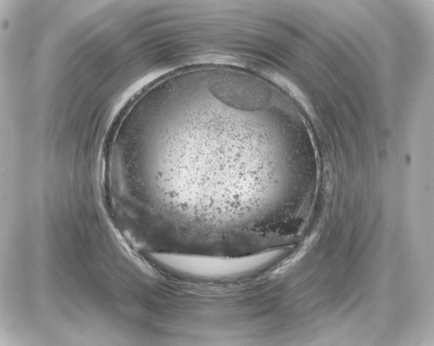 X0000087521125200705111959