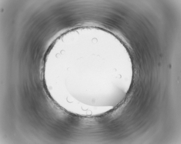 X0000087521126200705111959