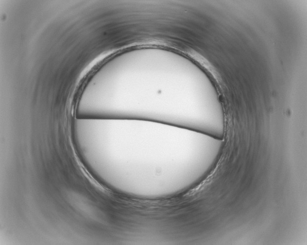 X0000087521127200705111959