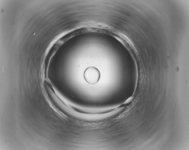 X0000087521128200705111959