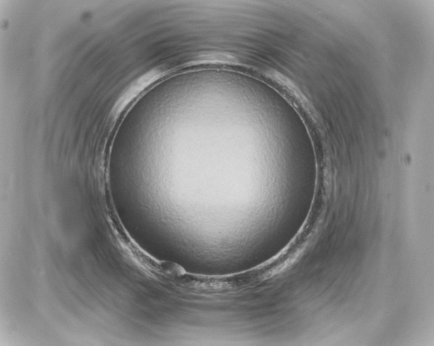 X0000087521129200705111959