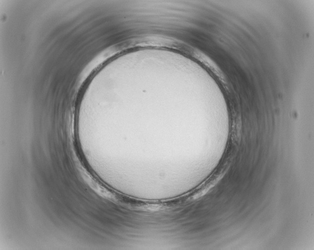 X0000087521130200705111959