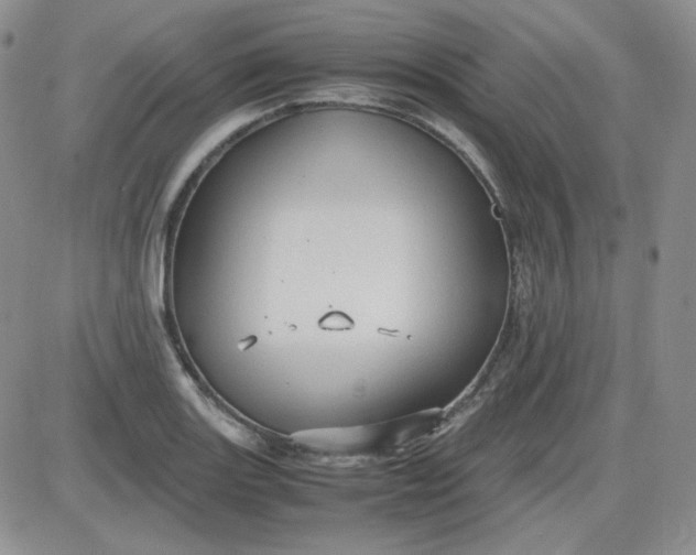 X0000087521131200705111959