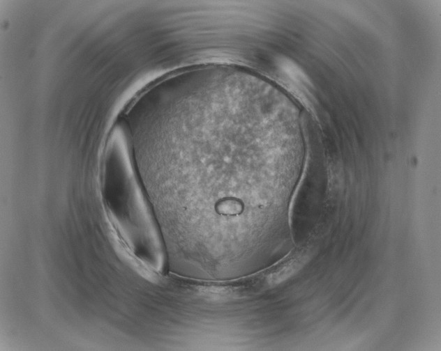 X0000087521132200705111959