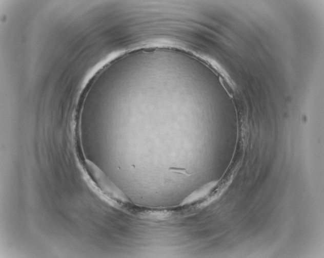 X0000087521134200705112000