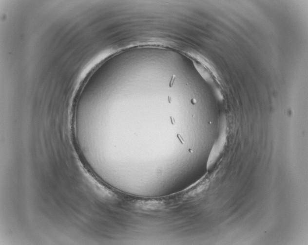 X0000087521135200705112000