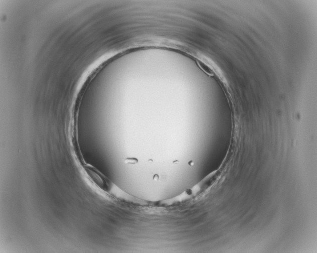 X0000087521136200705112000