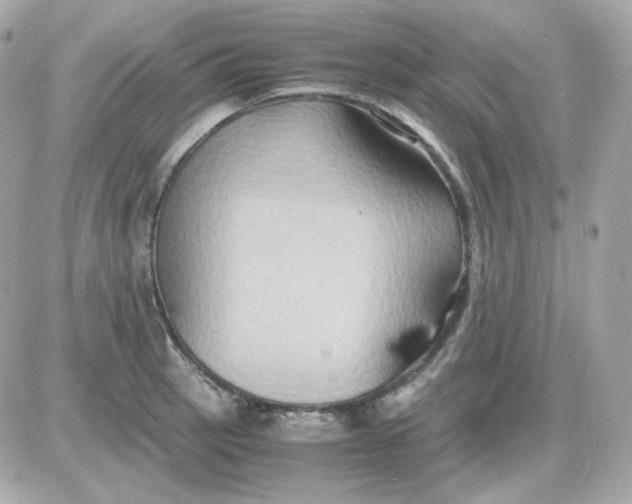 X0000087521137200705112000