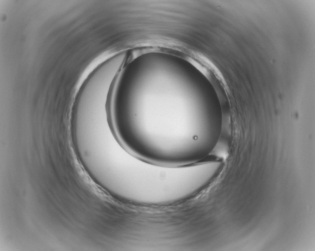 X0000087521138200705112000