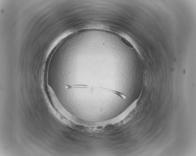 X0000087521139200705112000