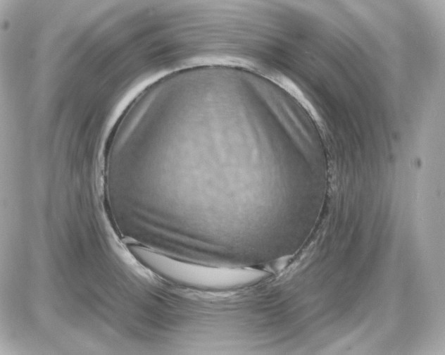 X0000087521140200705112000