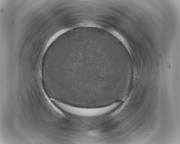 X0000087521141200705112000