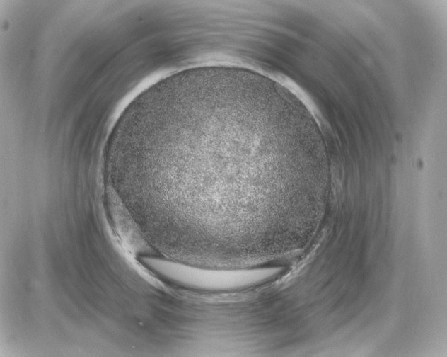 X0000087521142200705112000