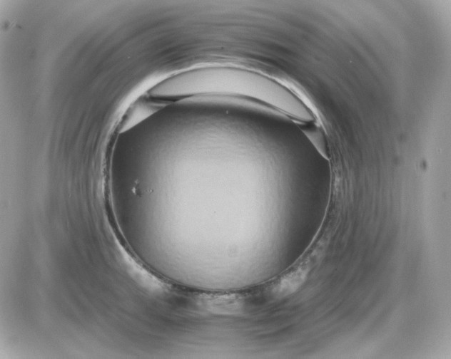 X0000087521143200705112000