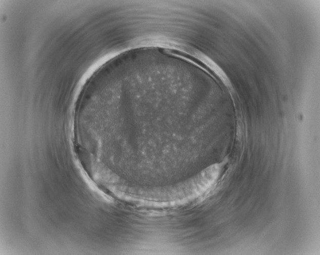 X0000087521144200705112000