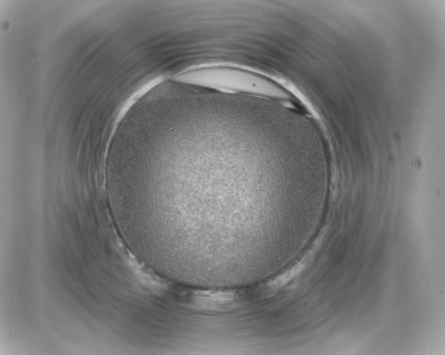 X0000087521145200705112000