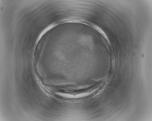 X0000087521146200705112000