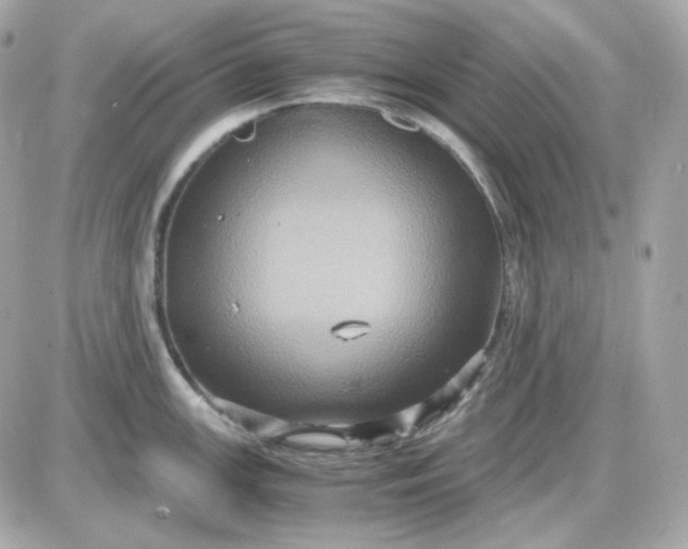 X0000087521147200705112000