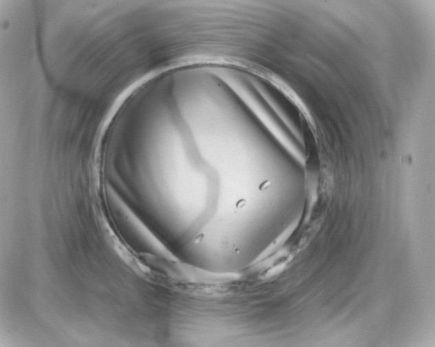 X0000087521148200705112000