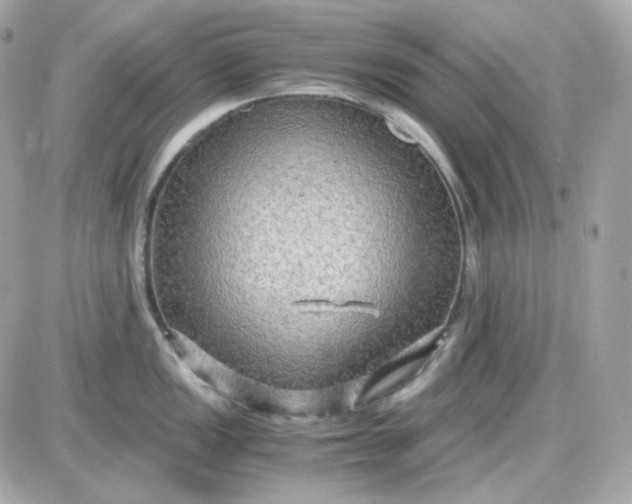 X0000087521149200705112000