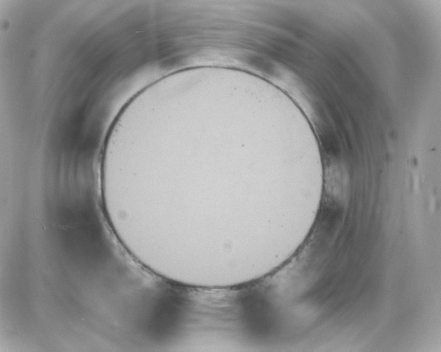 X0000087521150200705112000