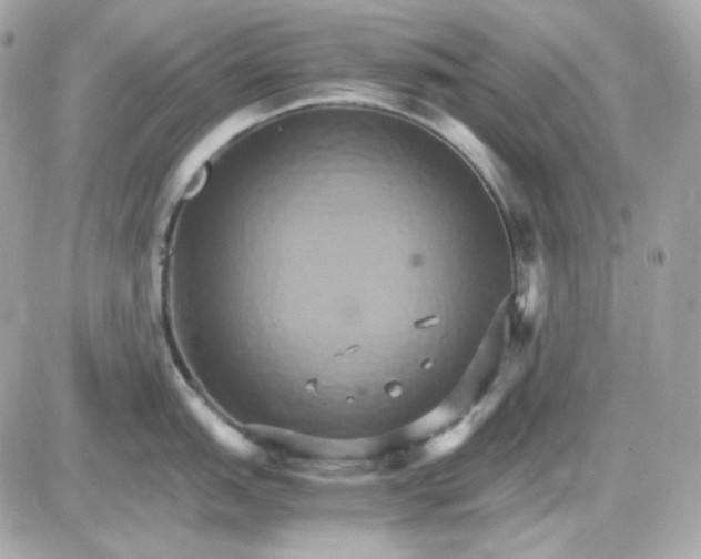 X0000087521151200705112000