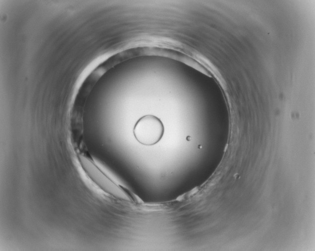 X0000087521152200705112000