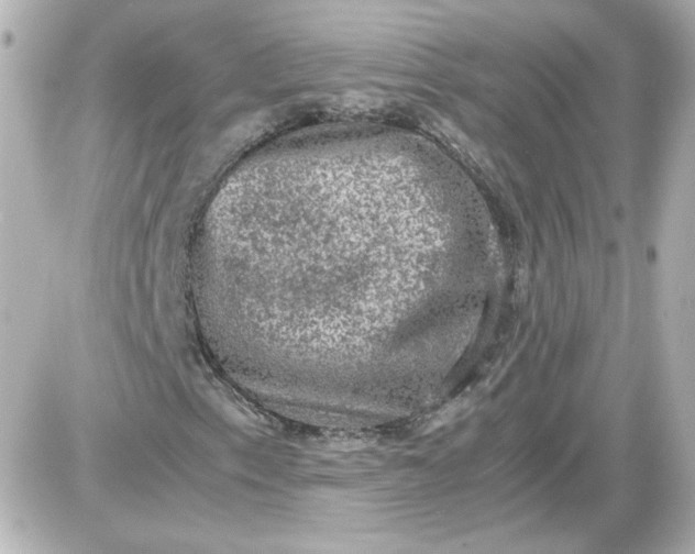 X0000087521153200705111959