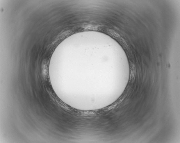 X0000087521154200705111959