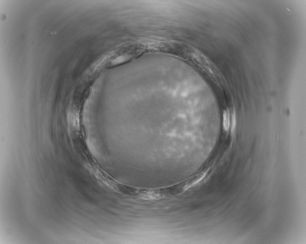 X0000087521155200705111959