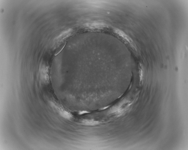 X0000087521156200705111959