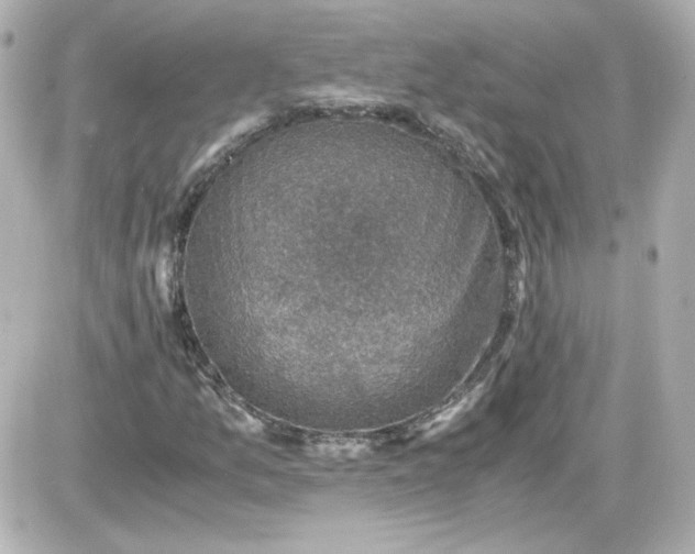 X0000087521157200705111959