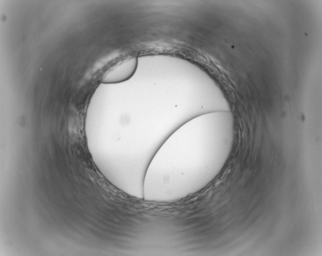 X0000087521158200705111959