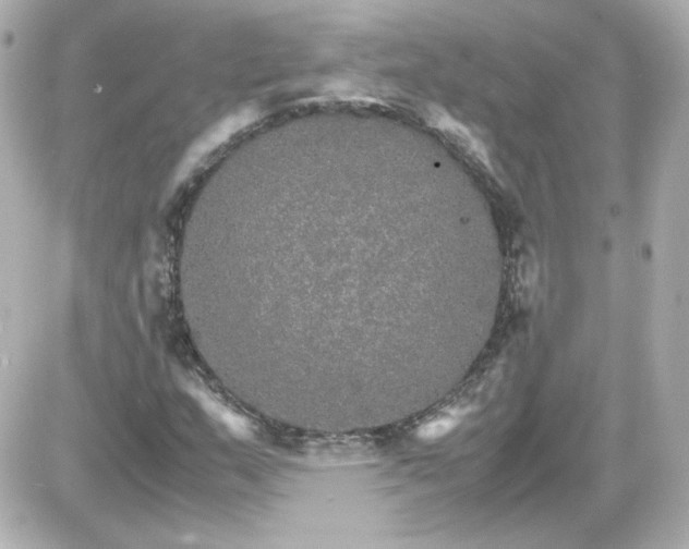 X0000087521159200705111959